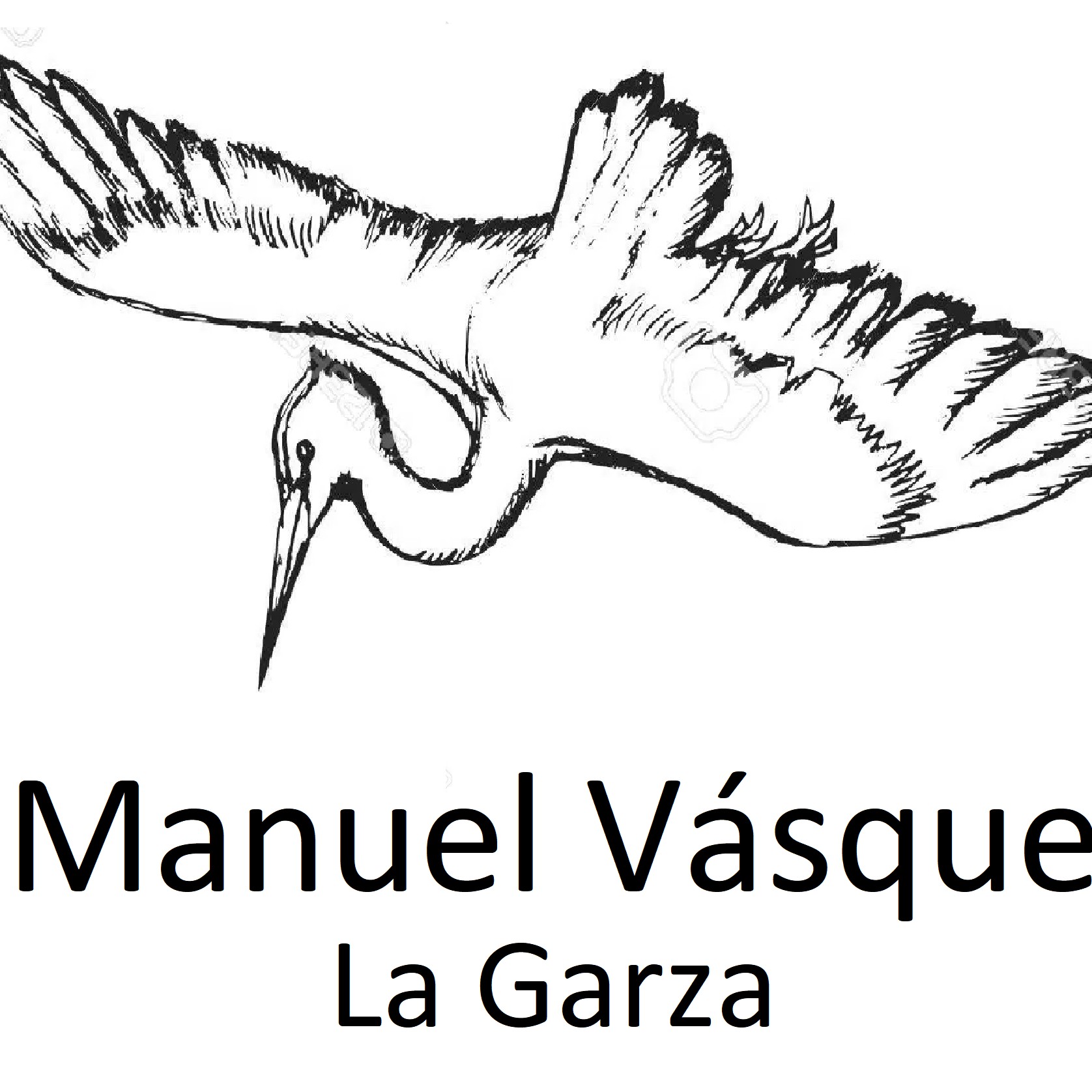 Manuel Vásquez